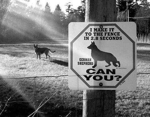 filtres anti-pourriel